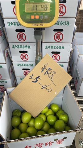 棗 產品圖片（圖片編號 634484）