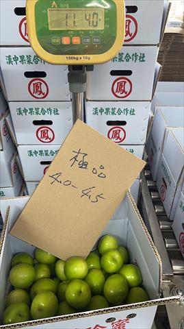 棗 產品圖片（圖片編號 634485）