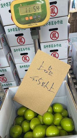 棗 產品圖片（圖片編號 634486）