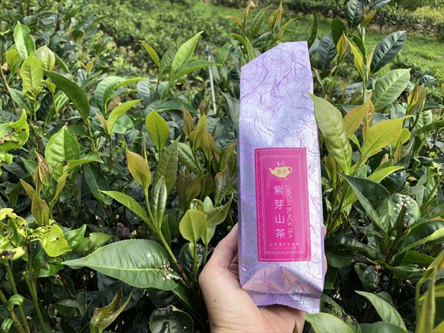 茶製品-茶 - 原生種紫芽山茶 產品圖片（圖片編號 636391）