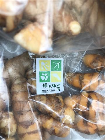 薑黃 - 黃薑黃 產品圖片（圖片編號 662694）