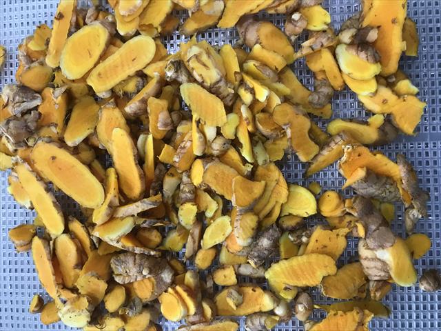 薑黃 - 黃薑黃切片 產品圖片（圖片編號 662696）