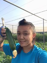 夏南瓜 - 夏南瓜 產品圖片（圖片編號 681411）