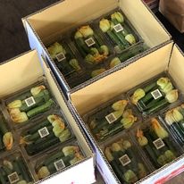 夏南瓜 - 夏南瓜 產品圖片（圖片編號 681415）