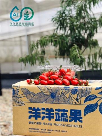 番茄(含小番茄) - 黑柿番茄 產品圖片（圖片編號 681416）