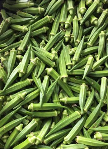 黃秋葵(羊角豆,秋葵) - 鮮採秋葵 產品圖片（圖片編號 681426）