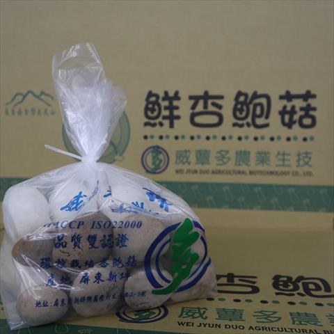 杏鮑菇 產品圖片（圖片編號 696647）