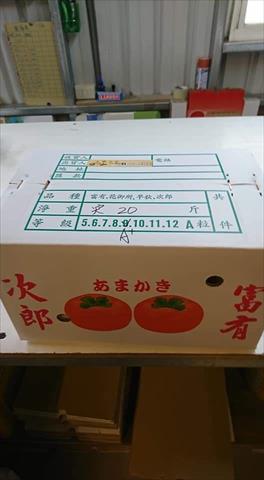 柿子 產品圖片（圖片編號 697733）