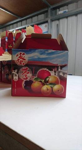 李 - 梨山西瓜李 產品圖片（圖片編號 697735）