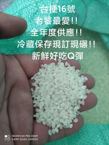 稉稻(白米或黑米) - 台梗16號 產品圖片（圖片編號 702164）