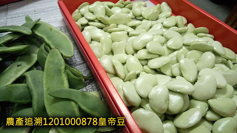 萊豆(皇帝豆) - 皇帝豆(萊豆) 產品圖片（圖片編號 706557）
