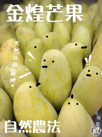 芒果 產品圖片（圖片編號 717680）