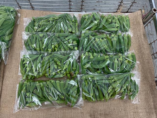 黃秋葵(羊角豆,秋葵) 產品圖片（圖片編號 726217）