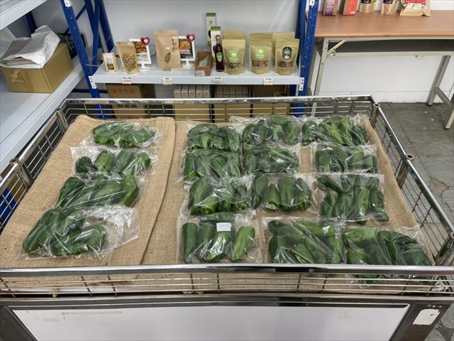 甜椒(含青椒) 產品圖片（圖片編號 726218）