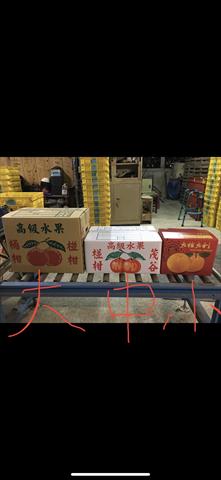 椪柑 - 出貨包裝用紙箱 產品圖片（圖片編號 736873）