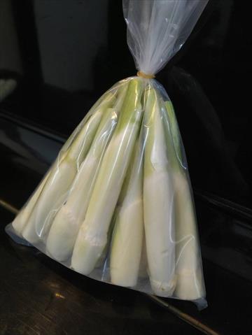 茭白筍 - 筊白筍 產品圖片（圖片編號 747839）