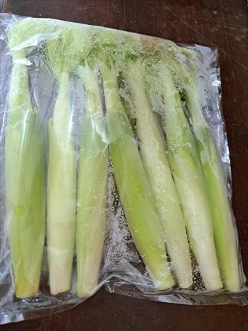 食用玉米(含玉米筍) 產品圖片（圖片編號 752127）
