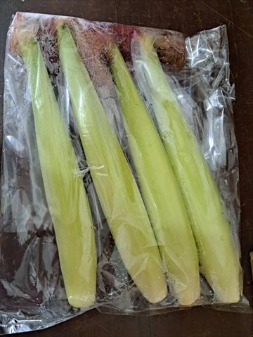 食用玉米(含玉米筍) 產品圖片（圖片編號 752130）