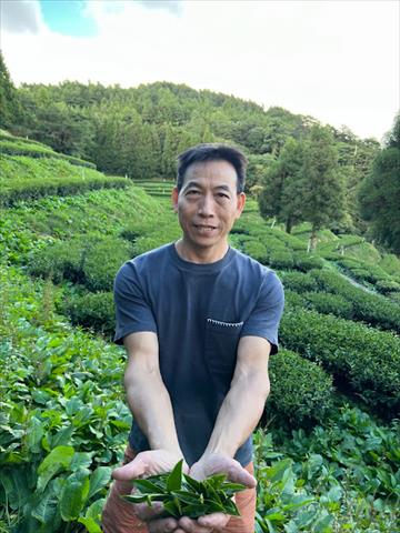 茶製品-茶 產品圖片（圖片編號 786269）