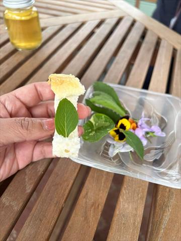 食用花卉-飲品 產品圖片（圖片編號 787924）