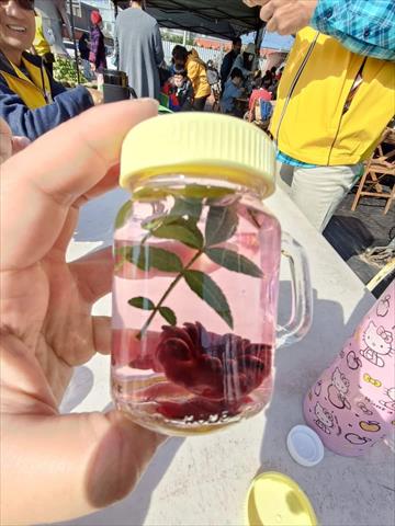 食用花卉-飲品 產品圖片（圖片編號 787926）