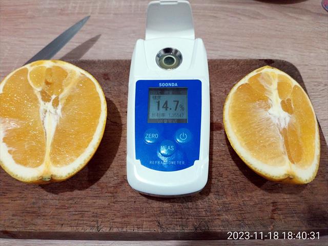 臍橙 - 甜度高達14.7度 產品圖片（圖片編號 840122）