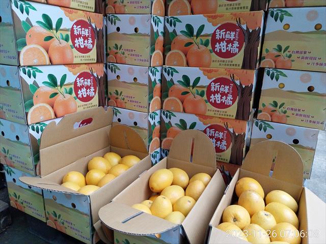 臍橙 - 分級包裝準備出貨 產品圖片（圖片編號 840124）