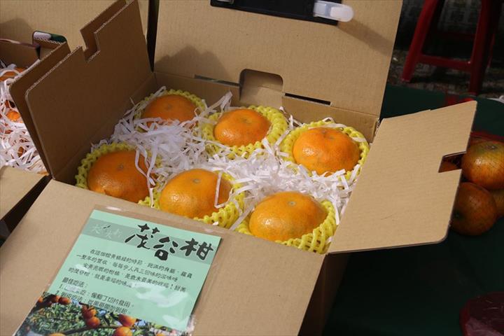 茂谷柑 產品圖片（圖片編號 861421）