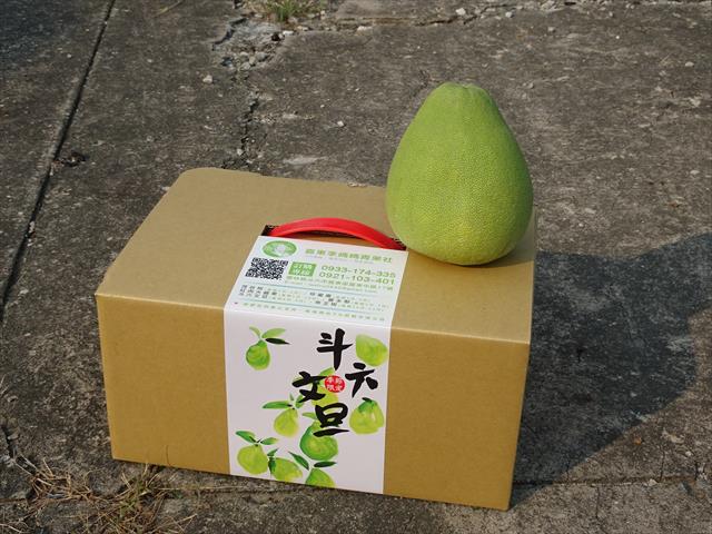 文旦柚 產品圖片（圖片編號 861427）