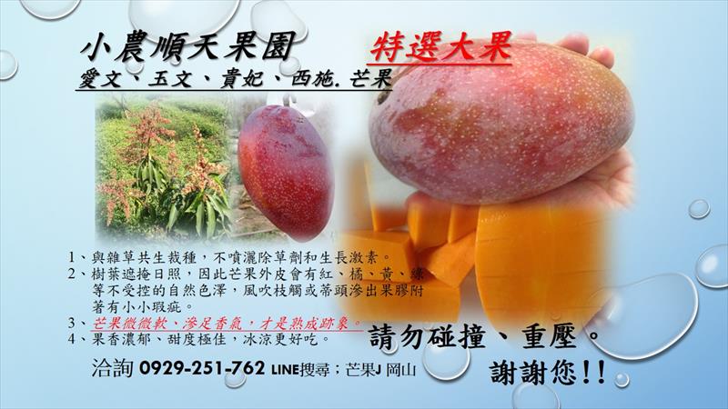 芒果 產品圖片（圖片編號 863477）