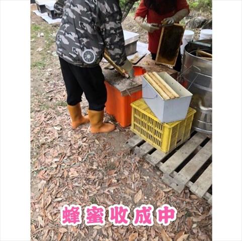 蜂產品-蜂蜜 產品圖片（圖片編號 865098）
