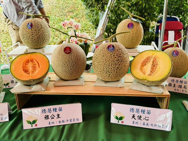 洋香瓜(哈蜜瓜) 產品圖片（圖片編號 866494）