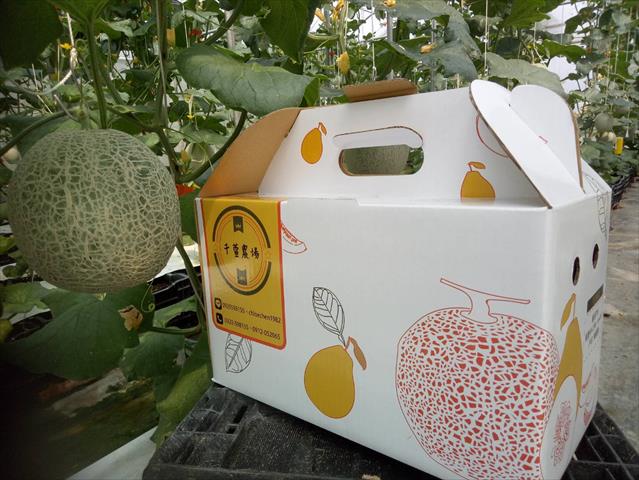 洋香瓜(哈蜜瓜) 產品圖片（圖片編號 866495）