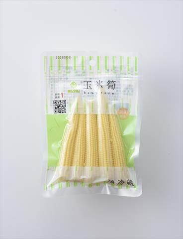 食用玉米(含玉米筍) - 玉米筍 產品圖片（圖片編號 872387）