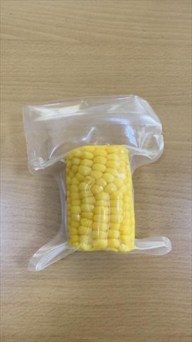 食用玉米(含玉米筍) - 黃金玉米 產品圖片（圖片編號 872388）