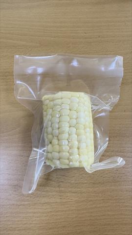 食用玉米(含玉米筍) - 水果玉米 產品圖片（圖片編號 872389）