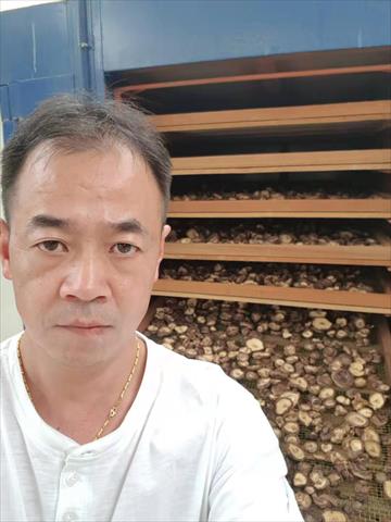 香菇 產品圖片（圖片編號 872414）