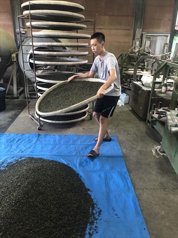 茶製品-茶 - 阿里山高山茶 產品圖片（圖片編號 880936）