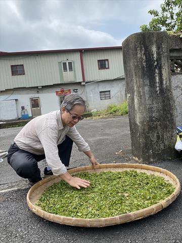 茶製品-茶 產品圖片（圖片編號 881021）