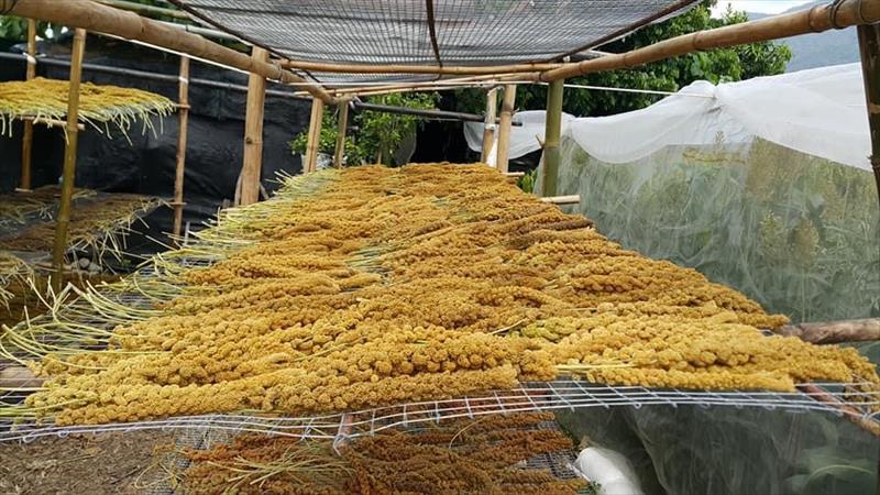 小米 - 小米 產品圖片（圖片編號 889392）