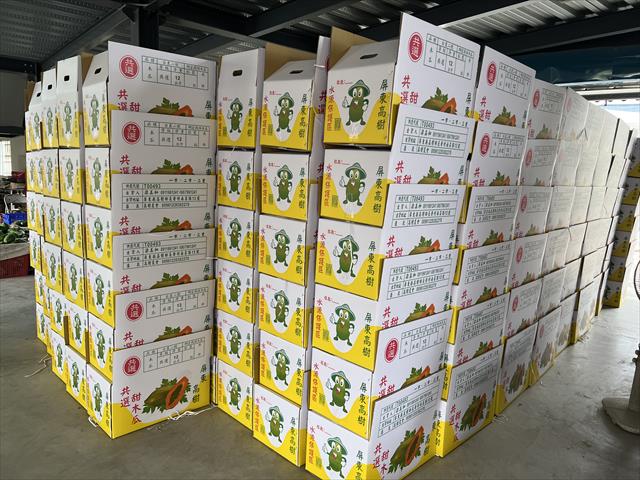 木瓜 產品圖片（圖片編號 890502）