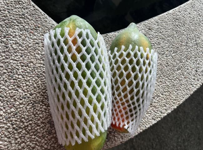 木瓜 產品圖片（圖片編號 890503）