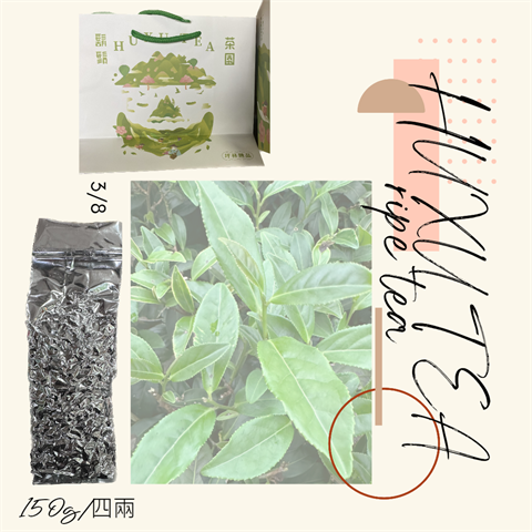茶製品-茶 - 熟茶 產品圖片（圖片編號 912166）