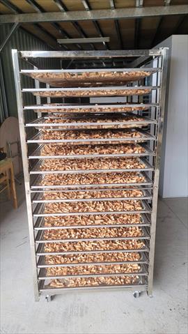 香菇 產品圖片（圖片編號 916477）