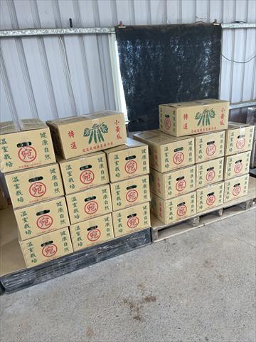 小黃瓜(花胡瓜) 產品圖片（圖片編號 918844）