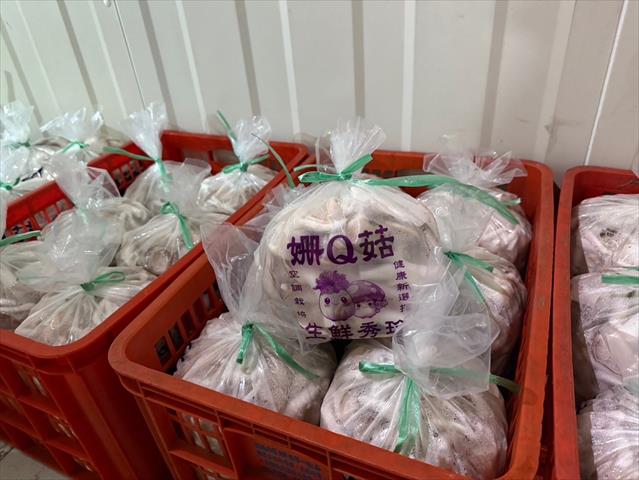 秀珍菇 - 姗Q菇特產秀珍菇 產品圖片（圖片編號 923184）