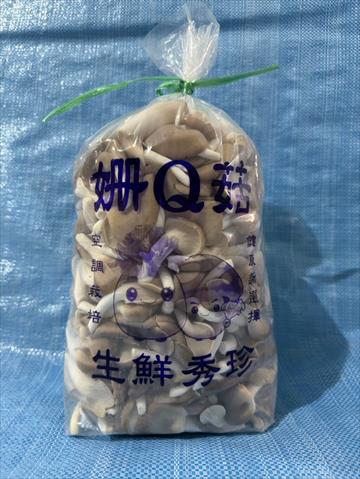 秀珍菇 - 姗Q菇特產秀珍菇 產品圖片（圖片編號 923186）