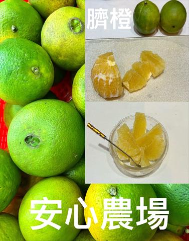 臍橙 產品圖片（圖片編號 927966）