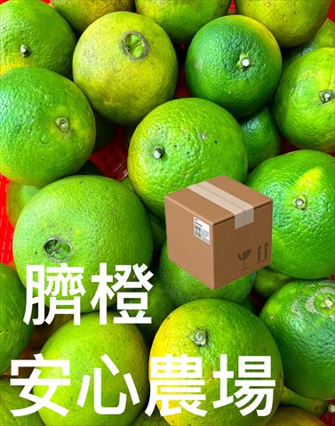 臍橙 產品圖片（圖片編號 927967）