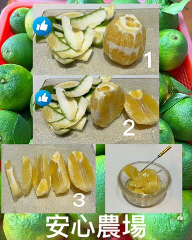 其它柑橘 產品圖片（圖片編號 927993）